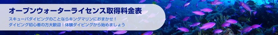 オープンウォーターライセンス取得料金表